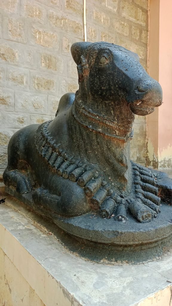 nandi-5